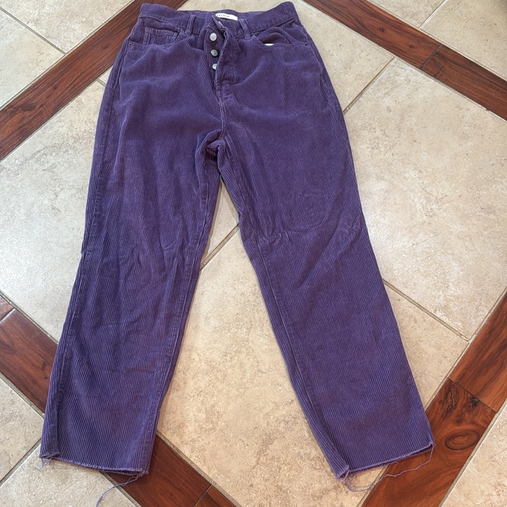 PacSun Purple Corduroy Pants - Picture 2 of 4